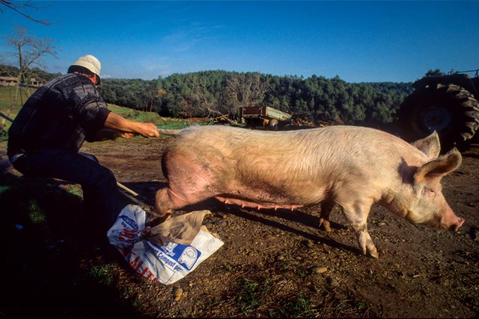 Catalan Rural People